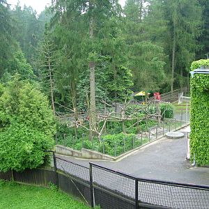Coati exhibit at Olomouc 30/05/09