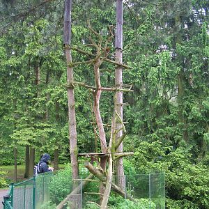 Porcupine exhibit at Olomouc 30/05/09