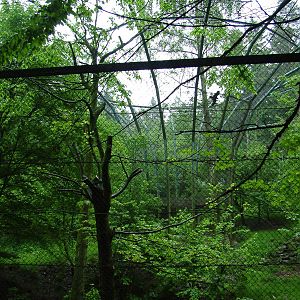 Donut Flight Aviary at Olomouc 30/05/09