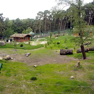 New Tigerexhibit at Lüneburger Heide.