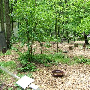 Bird of Prey area at Olomouc 30/05/09