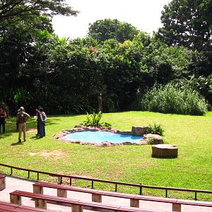 Hawk Walk - Falconry Arena