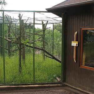 Enclosure for Philippine civet