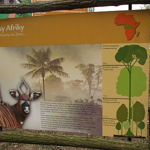 Info boards about African rainforest