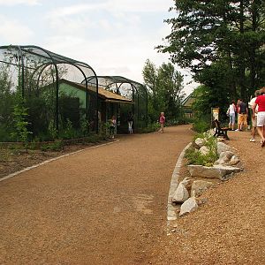 Aviaries for smaller African birds