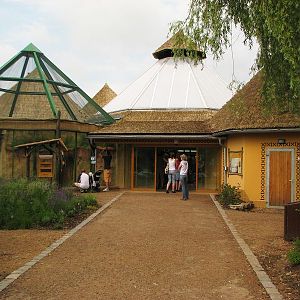 House for pygmy hippo, cheetah and birds