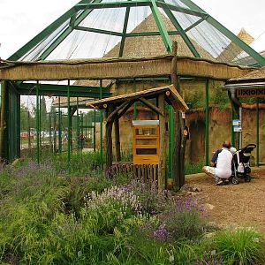 Bee-eater aviary in front of the pygmy hippo house