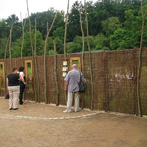 Viewing into a waterfowl aviary