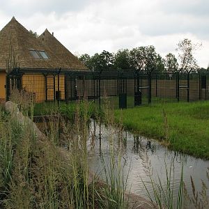 Cheetah house, yards and the main pen.