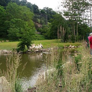 Mixed African savanah