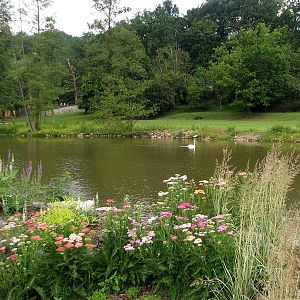 Mixed African savanah