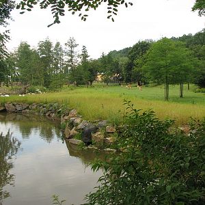 Mixed African savanah