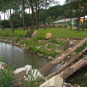 Enclosure for giraffe and greater kudu