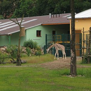 Enclosure for giraffe and greater kudu