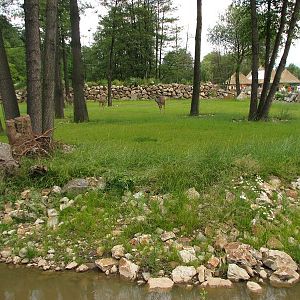 Enclosure for giraffe and greater kudu