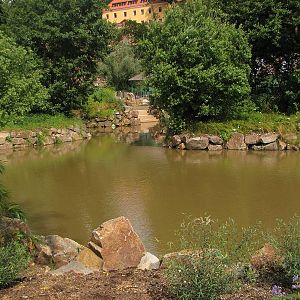 Macaque and gibbon islands