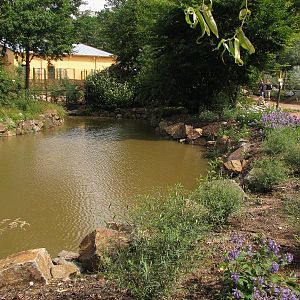 Water ditch around gibbon island