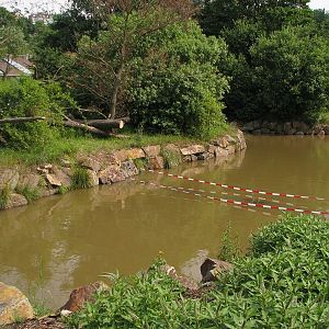 Water ditch around the lion-tailed macaque island