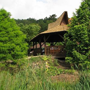 A viewing platform for indian rhino enclosure