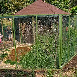 A house and an aviary for Asiatic birds