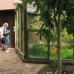 A house and an aviary for Asiatic birds