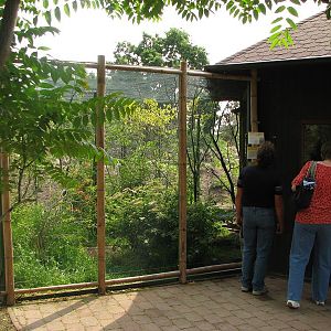 A house and an aviary for Asiatic birds