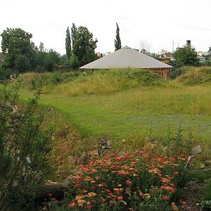 Bactrian camel house