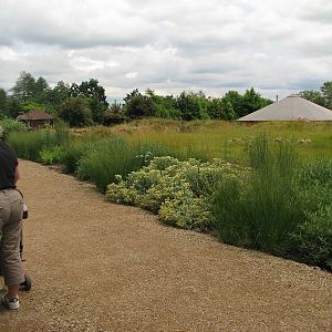 A viewing point into the Bactrian camel pen