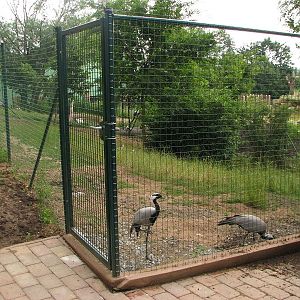 Bird enclosure near the indian rhino house