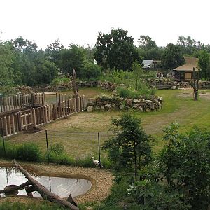 Indian rhino exhibit