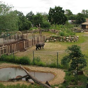 Indian rhino enclosure
