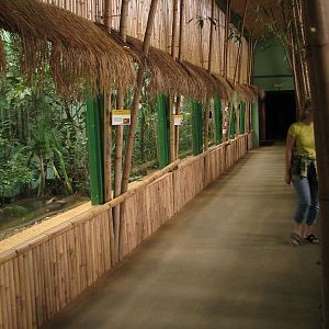Bird exhibit in the indian rhino house