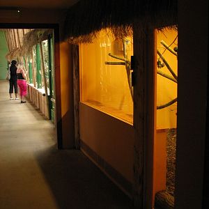 Night exhibits in the ndian rhino house