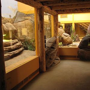 Terariums in the giraffe house