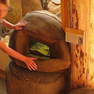 Insectarium in the giraffe house