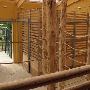 Giraffe stables - view from the 1st floor