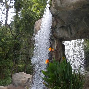 Waterfall