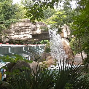 Waterfall and Monorail