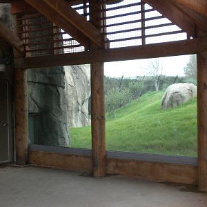 Giants of the Savanna - Cheetah viewing