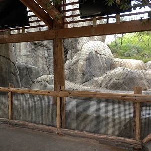 Giants of the Savanna - predator training area