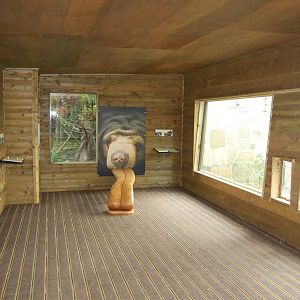 Covered Viewing Area at Top of Exhibit