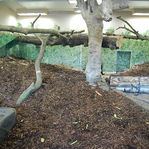 On Show Indoor Exhibit