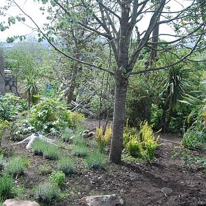 View from Top Viewing Area Shelter