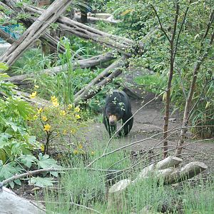 View from Top Viewing Shelter