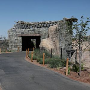 new lion exhibit