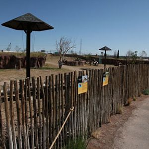 giraffe exhibit