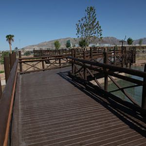 boardwalk over savanna