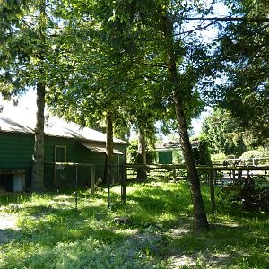 Indian Crested Porcupine Enclosure