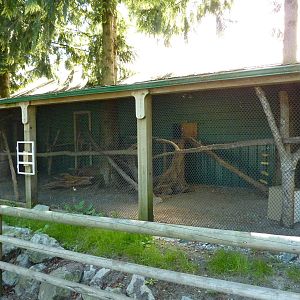 Ring-Tailed Lemur Enclosure