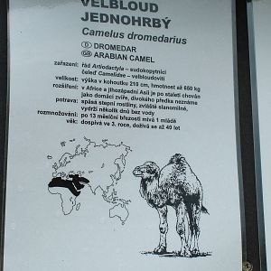 Signage example at Vyskov, 30/05/10